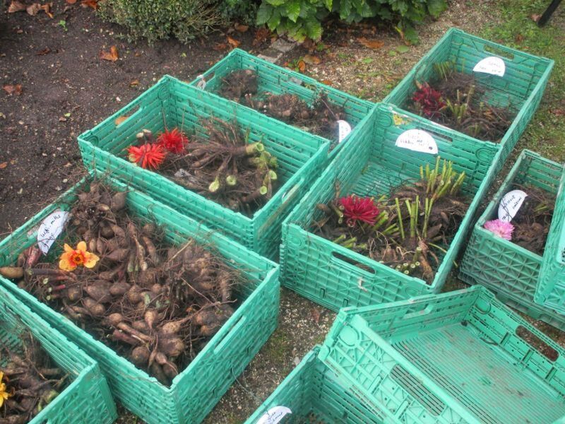 anbluhn-im-brenzpark