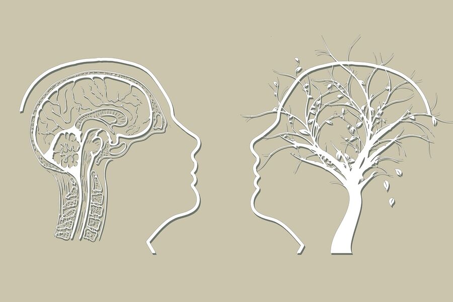 veranstaltung-entfallt-alzheimer-parkinson-wie-kann-man-sich-schutzen