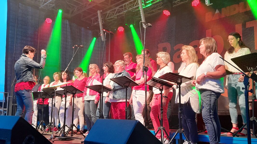 gospelkonzert-mit-born-to-sing-und-der-bigband-steinheim