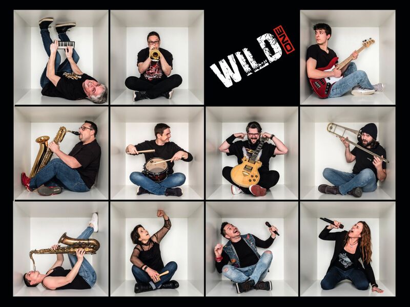 wild-one