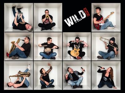 WILD ONE