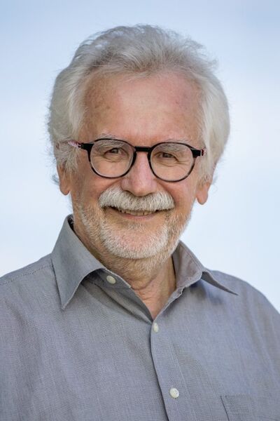 auch-bienen-haben-schweissfusse