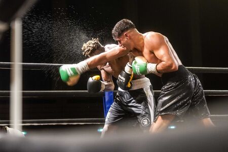 Ein Jahr aus dem Blick des Pressefotografen